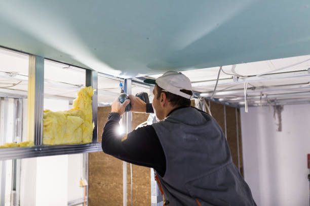 Best Residential Insulation in Topeka, KS