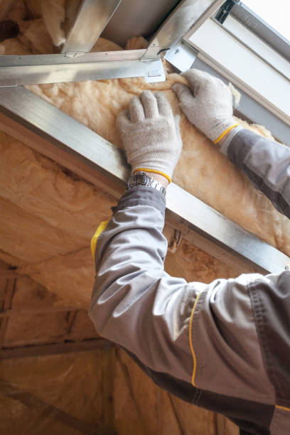 Best Insulation Maintenance and Repair in Topeka, KS